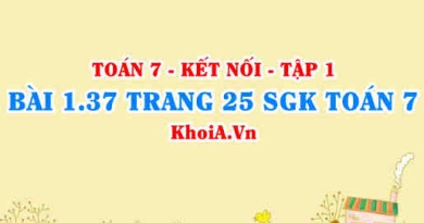 Bài 1.37 trang 25 SGK Toán 7 tập 1 Kết nối tri thức